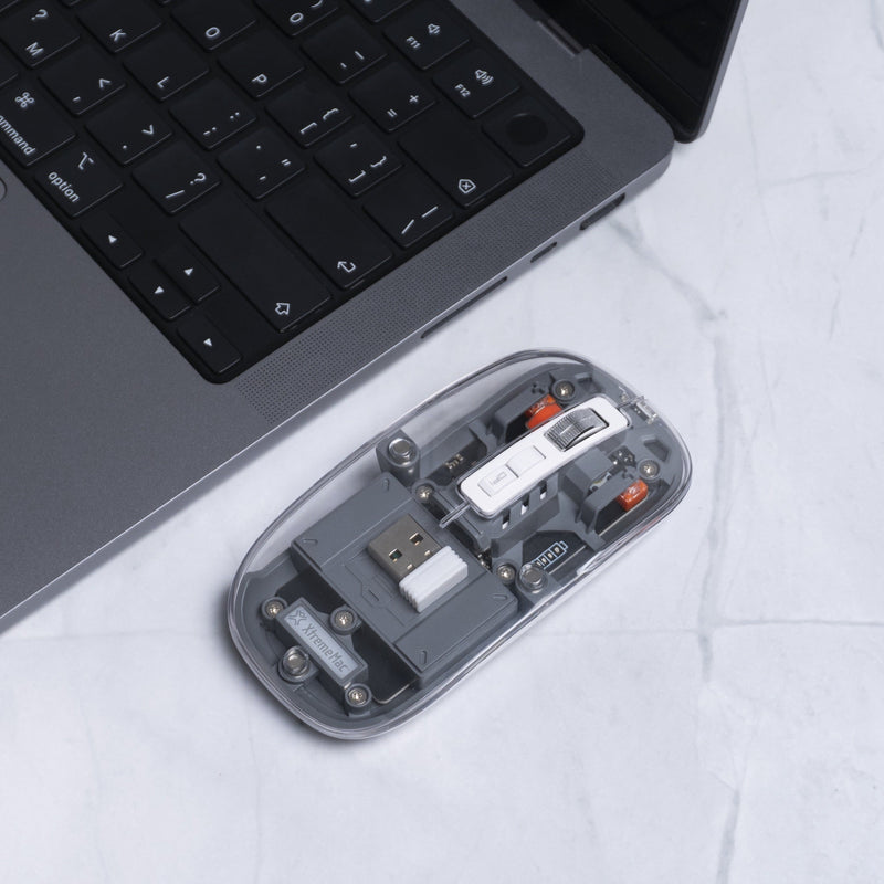 Multi-Connection Transparent Mouse